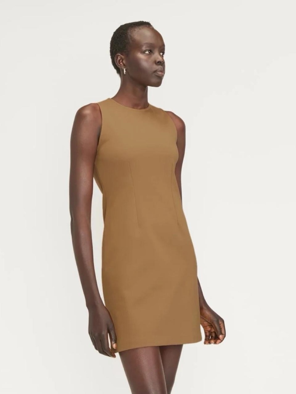 Everlane The Dream 90s Shift Dress in Toasted Coconut